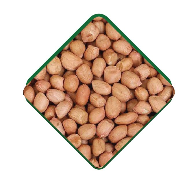 Raw Peanut